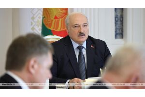 Лукашенко: вакханалии по поводу организации вступительной кампании необходимо закончить