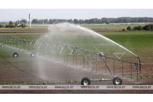 Белорусские ученые дали рекомендации аграриям, как ухаживать за посевами в жару и засуху