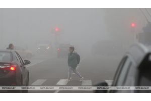 МЧС предупредило об опасности из-за тумана