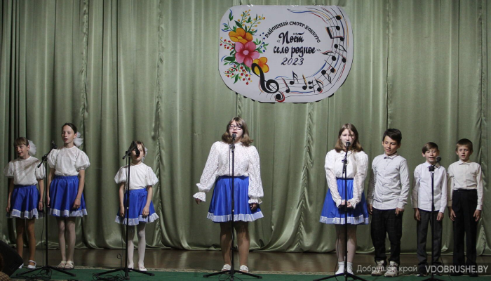 Песни, которые западают в душу: чем порадовали участники смотра-конкурса вокальных коллективов среди сельских клубных учреждений Добрушского района 