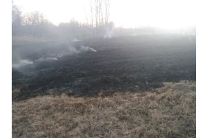 До беды – один шаг. Три крупных возгорания сухой растительности зафиксировано в Добрушском районе в понедельник