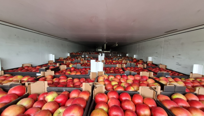 Как свекла оказалась грушей: незаконный вывоз более 80 тонн фруктов пресекли гомельские таможенники