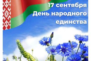 Чем в Добрушском районе запомнится празднование Дня народного единства