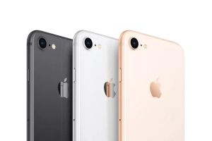 Новый бюджетный iPhone 9 может получить версию Plus