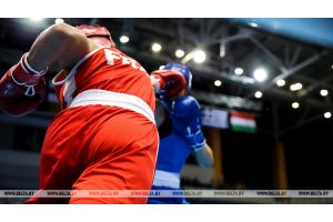 Европейский квалификационный олимпийский турнир по боксу приостановлен до мая