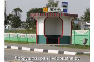 Деревне Ленино Добрушского района присущи все признаки современного агрогородка
