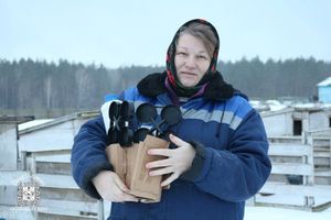 Дорогой созидания. Сельское хозяйство