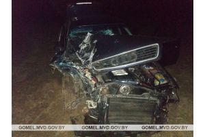 В Добрушском районе в результате ДТП пострадал водитель