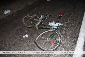 В Добрушском районе в результате ДТП погиб велосипедист
