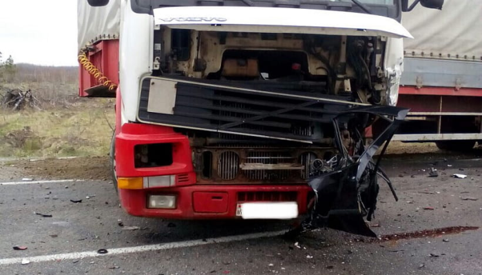 В Добрушском районе водителю легковушки стало плохо за рулем, он погиб от столкновения с грузовиком (Подробности)