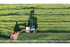 В Беларуси скошено более 75% площадей трав