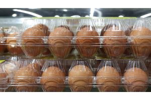 Минсельхозпрод: объемы производства яиц в Беларуси позволяют поставлять 25-30% на экспорт