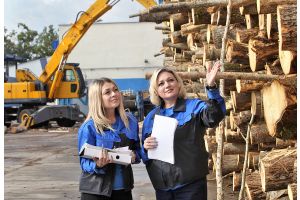 Как принимают и хранят лесоматериалы на Добрушской бумажной фабрике 