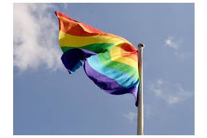 Эстония вслед за рядом других европейских государств узаконила однополые браки и стала на путь самоуничтожения 
