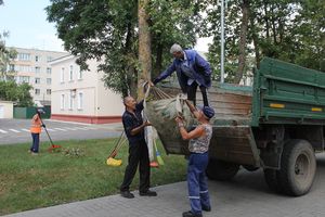 Стихия валила деревья, сносила крыши