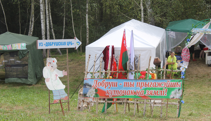 Командный экстрим и заряд бодрости: в минувшие выходные Добрушский район принимал туристический слет