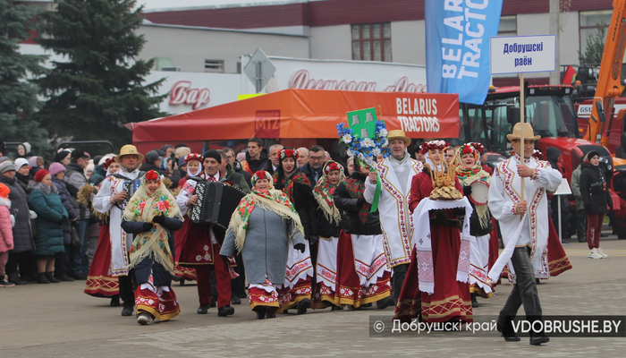 В Октябрьском прошел областной фестиваль «Дожинки-2023». Добрушские аграрии – в числе лучших