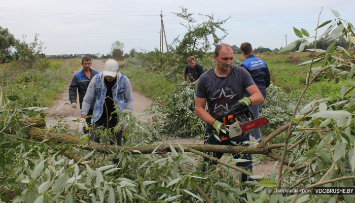 В очистке обводного канала по переулку Пролетарскому участвуют работники пяти предприятий города