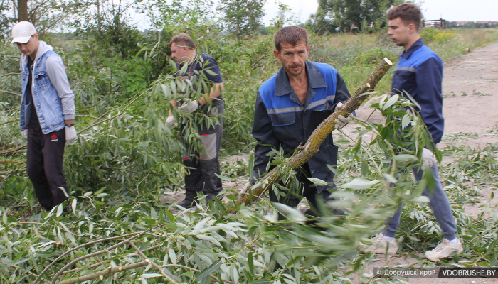 В очистке обводного канала по переулку Пролетарскому участвуют работники пяти предприятий города