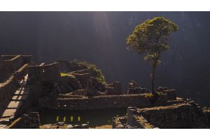 ЮНЕСКО внесла руины города Иерихон в Список Всемирного наследия