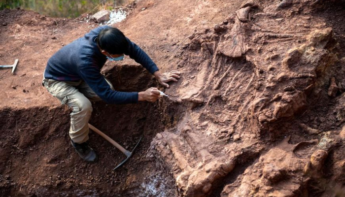 ФОТОФАКТ: В провинции Юньнань обнаружены останки динозавров