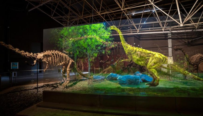 ФОТОФАКТ: В провинции Юньнань обнаружены останки динозавров