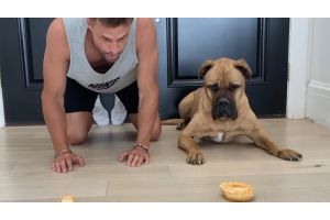 Сладкий забег: кто победит в гонке по поеданию пончиков - человек или пес? (Видео)
