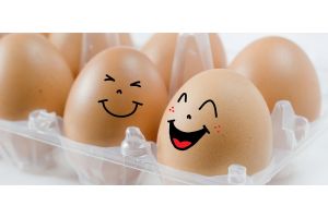 Британские эксперты рассказали, как правильно готовить яйца