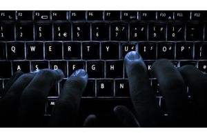 Гомельская область стала лидером по росту числа киберпреступлений