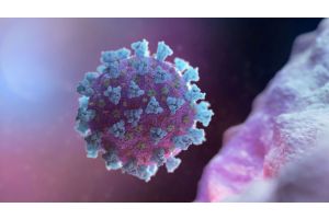 Ученые создали экспресс-тест на коронавирус