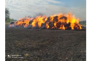 На поле вблизи деревни Крупец Добрушского района горели сено и солома