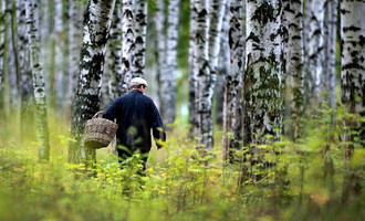 В Добрушском районе грибников все чаще приходится искать спасателям