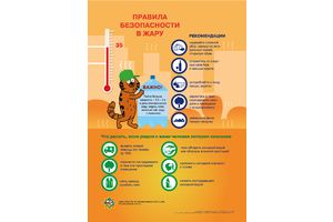 Лето, солнце, жара! Высокие температуры могут стать опасными для здоровья, предупреждают добрушские  спасатели