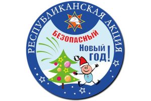 В Добрушском районе стартует акция «Безопасный Новый год»