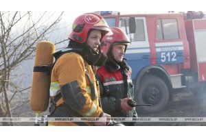 В Гомельской области снижается число пожаров