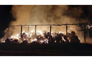 Сеносклад горел в Кормянском районе