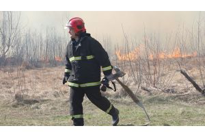 В Гомельской области проводят рейды выходного дня по профилактике пожаров в экосистемах
