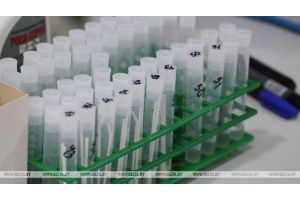 ВОЗ передала в Беларусь наборы для проведения 6 тыс. тестов на коронавирус