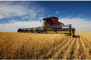 Белорусские аграрии намолотили 7,5 млн т зерна