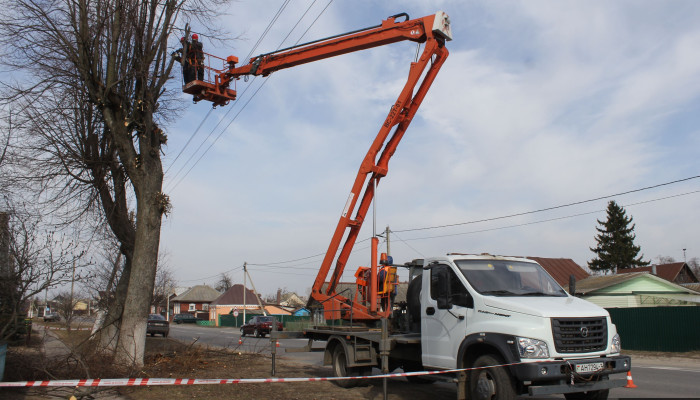 Добрушские Коммунальщики и энергетики активно приступили к обрезке и удалению  аварийных деревьев под линиями электропередачи