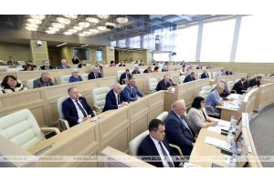 Совет Республики одобрил законопроект о народном ополчении