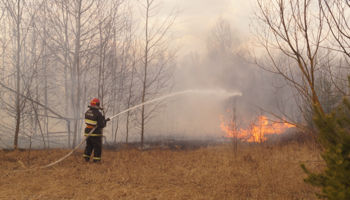 С начала года на Гомельщине более 400 раз горели трава, торфяники и леса