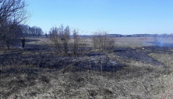 В Беларуси за сутки от палов травы пострадали три человека