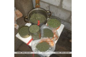 В Гомеле задержан наркодилер. Изято свыше 2-х кг марихуаны