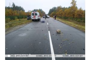 В Светлогорском районе в результате наезда погиб велосипедист
