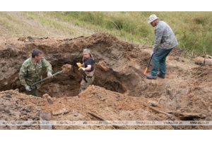 Фрагменты блиндажа и останки красноармейцев нашли в Витебском районе