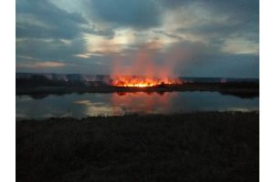 За прошедшие сутки на территории Гомельской области произошло 18 пожаров травы и кустарника, 2 торфяных пожара и 7 лесных пожаров