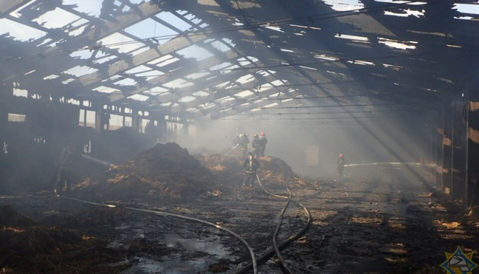 В Буда-Кошелевском районе сгорело 5 т соломы