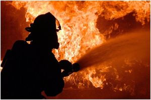 В Гомельской области на пожарах погибли три человека