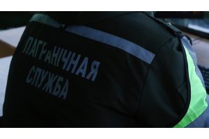 Пинские пограничники перехватили украинский беспилотник